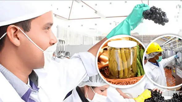 prps چیست؟ / جداول مرتبط به همراه مراحل اجرای پی آر پی اس