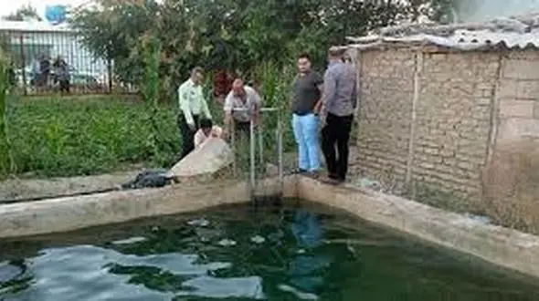 مرگ تلخ یک مرد در استخر سرد!