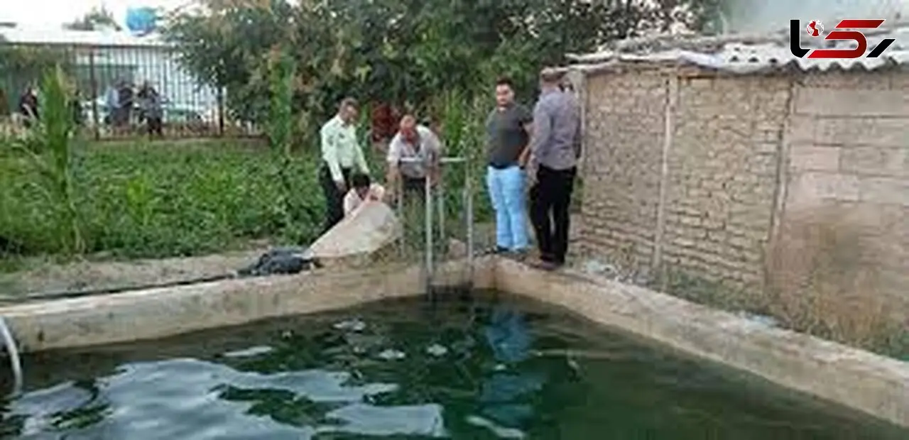 مرگ تلخ یک مرد در استخر سرد!