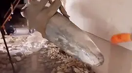 فیلم هالیوودی از لحظه به لحظه انتقال بمب سنگرشکن یک تنی توسط آتش نشانان خرم آباد / ببینید کجای ساختمان گیر کرده بود