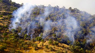 مهار آتش سوزی در جنگل های باشت