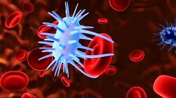 حمله مخلوطی از ویروس‌ها/ آنتی بیوتیک‌ها هیچ جایگاهی در درمان این بیماری‌ها ندارند