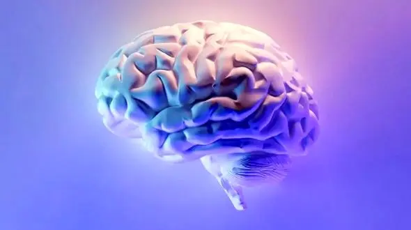 چطور دکمه بازنشانی مغز انسان کشف شد؟ رازهای علمی این کشف