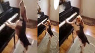 سگی باهوشی که پیانو می زند و آواز می خواند؟ + فیلم