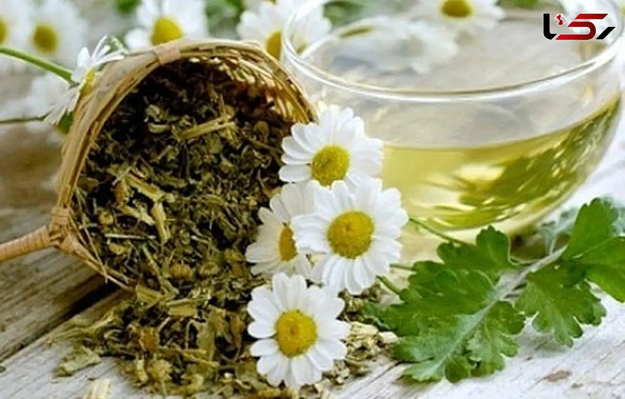 در فصل سرد این آنتی‌بیوتیک گیاهی را بخورید