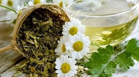 در فصل سرد این آنتی‌بیوتیک گیاهی را بخورید