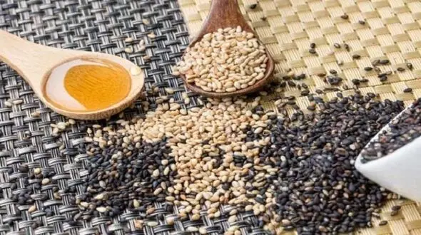 کنجد ملکه دانه های روغنی با خواص شگفت انگیز