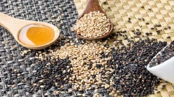 کنجد ملکه دانه های روغنی با خواص شگفت انگیز