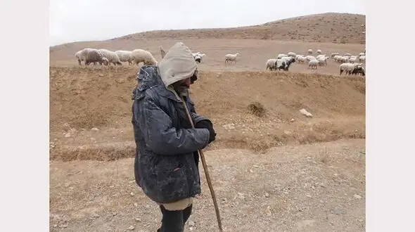 چوپان یزدی گمشده در کویر جان سالم به در برد