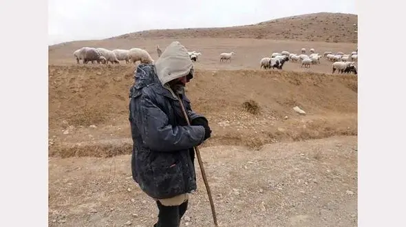 چوپان یزدی گمشده در کویر جان سالم به در برد
