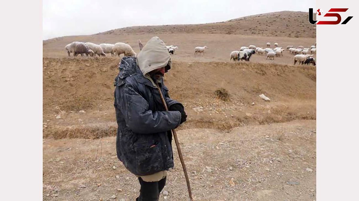 چوپان یزدی گمشده در کویر جان سالم به در برد