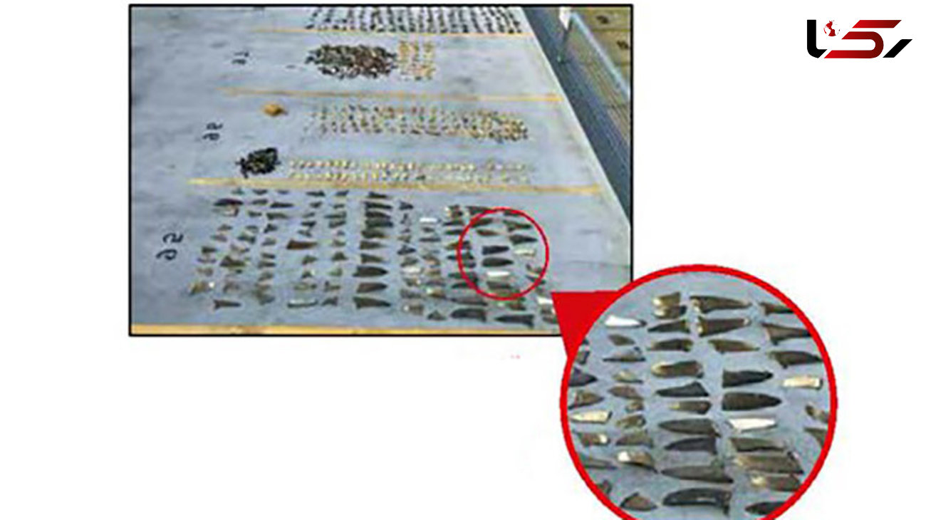دستگیری 10 ماهیگیر که بال کوسه قاچاق می کردند / این کار سود میلیاردی دارد+ عکس