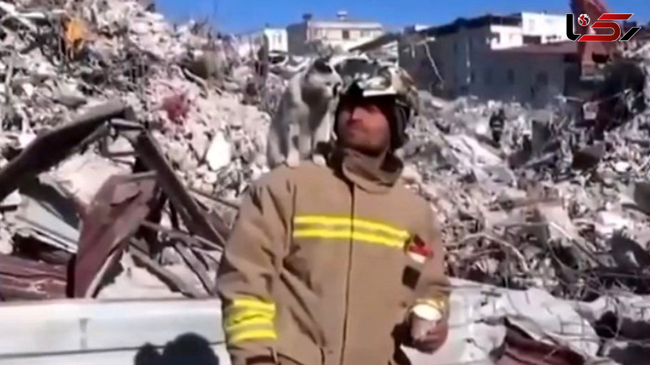 فیلم وابستگی عجیـب گـربه به امدادگر / بعد از نجات از زلزله ترکیه 