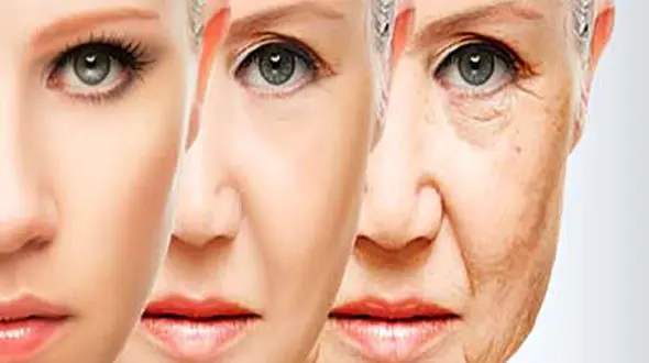 خوراکی های موثر برای درمان افتادگی پوست