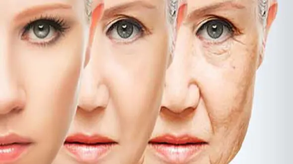 خوراکی های موثر برای درمان افتادگی پوست
