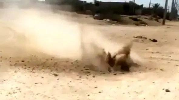 فیلم ترسناک جوشیدن خاک در بوشهر / آتشفشان هلیله کجاست؟ 