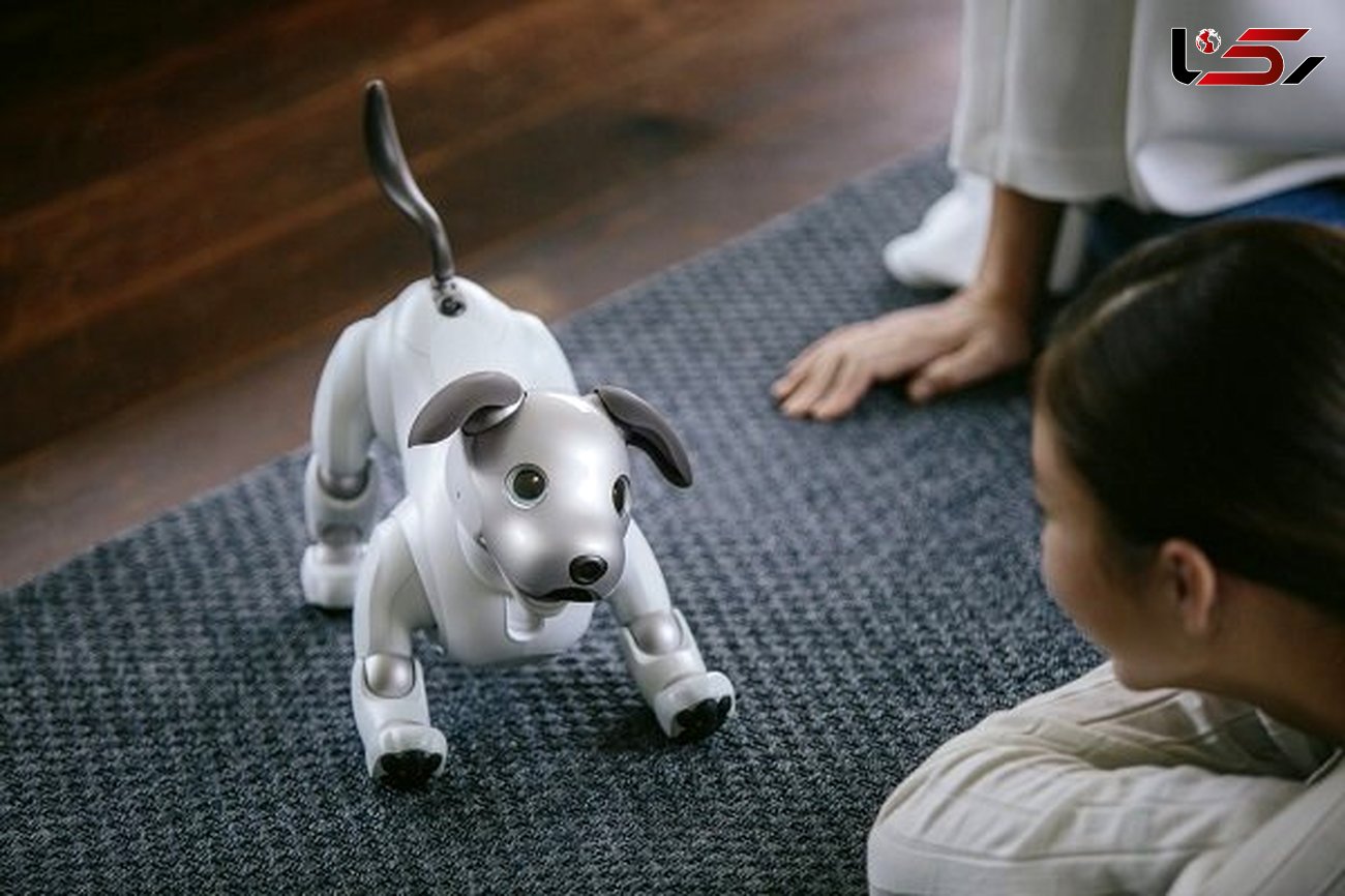 سگ رباتیک رقیب سگ های واقعی/ساخته جدید شرکت سونی