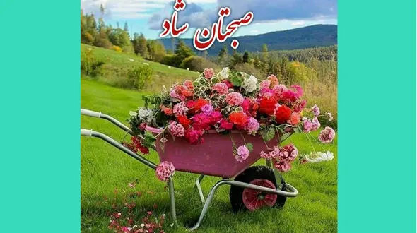 فال روزانه شخصی / 17 آذر ماه + فیلم