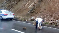 سقوط مرگبار سنگ در کمین مسافران جاده شمال / هراز و کندوان خطرناک شد