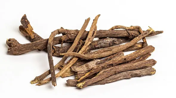 داروهای گیاهی موثر در بارداری 