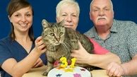 پیرترین گربه ی دنیا 31 ساله شد + عکس جشن تولد