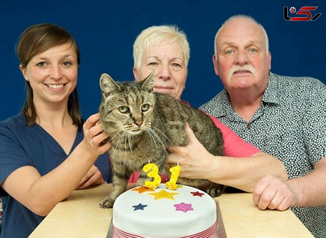 پیرترین گربه ی دنیا 31 ساله شد + عکس جشن تولد