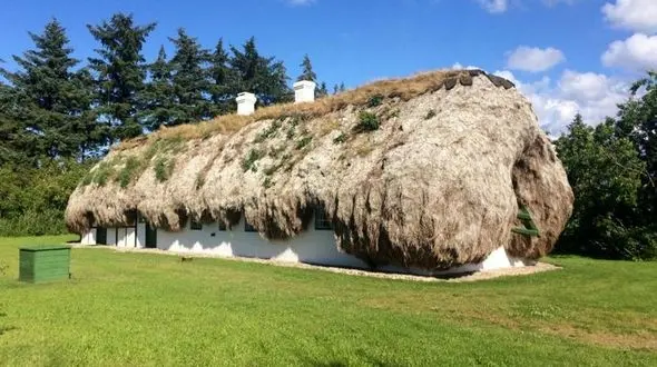 قیمت عجیب و هنگفت خانه ای  ۳۰۰ ساله از جنس جلبک دریایی+عکس