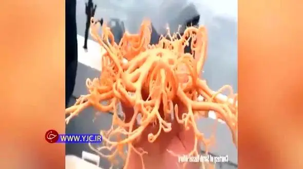 لحظه صید یک موجود وحشتناک توسط زن جوان+ فیلم