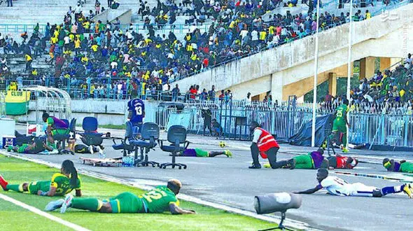 فوتبالیست‌ها به زمین افتادند / هجوم زنبورها مسابقه را متوقف کرد+ فیلم 