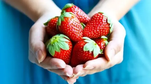 میوه ای مفید برای تقویت بینایی