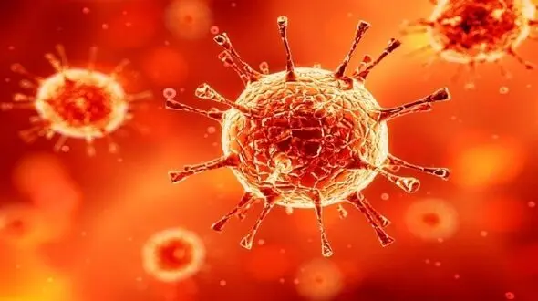 فاتحه ای برای پروتکل ها کرونایی ! / بازداشت 2 خواننده در ایذه