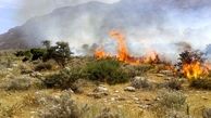 آتش سوزی در نارنجستان قوام شیراز
