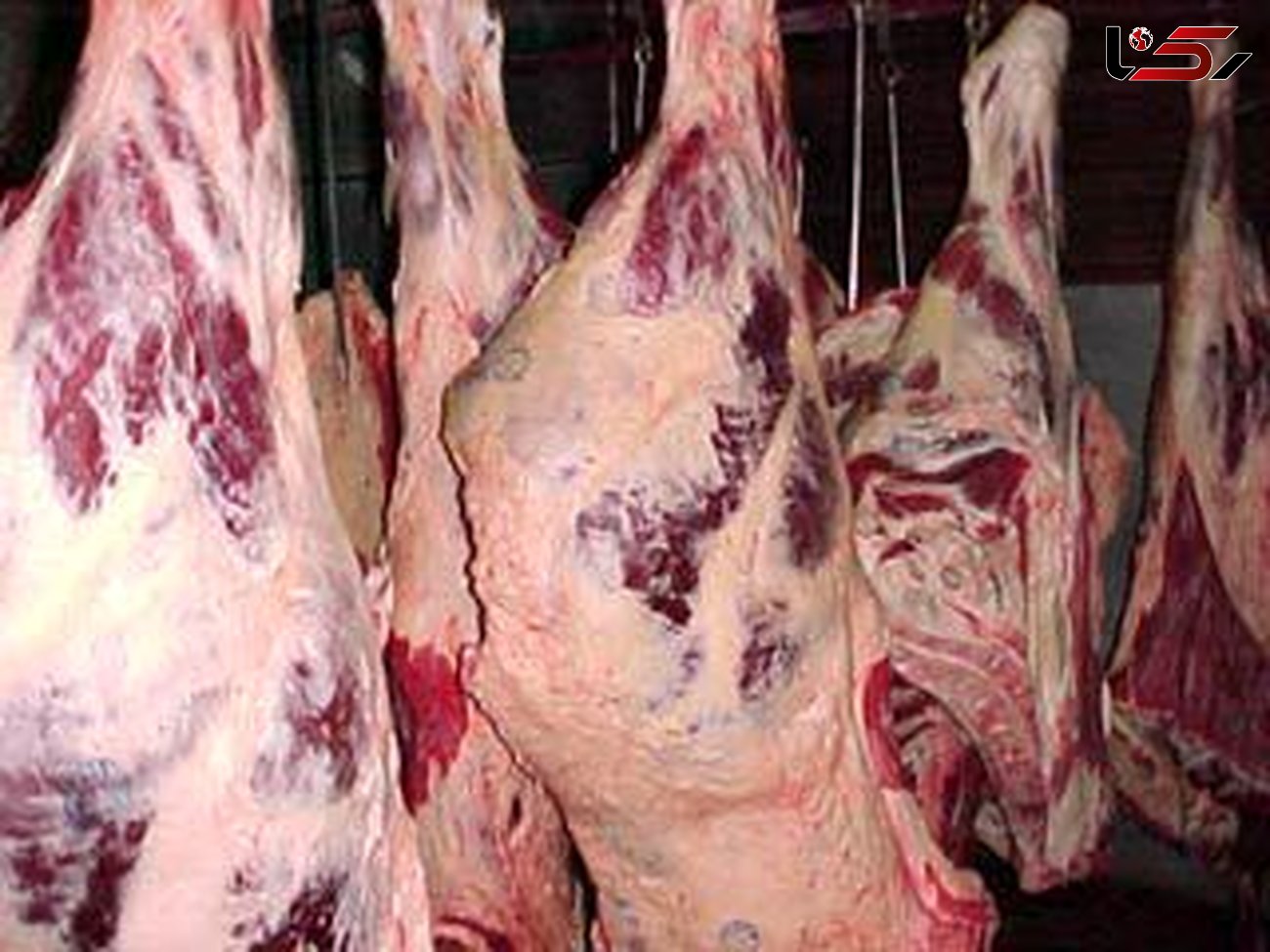 گوشت گوسفندی کیلیویی 43 هزار تومان