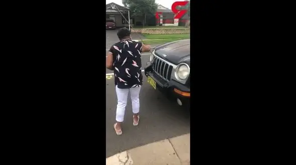 سرنوشت عجیب بدشانس‌ترین پرنده‌ای که تابحال دیده‌اید +فیلم