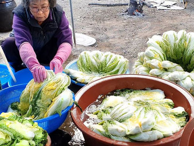 کیمچی سنتی کره‌ای؛ تجربه‌ای دل‌انگیز در روستایی سرسبز  فیلم