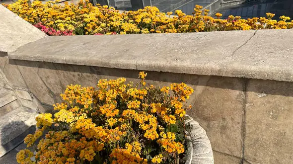 فال و طالع بینی امروز 31 شهریور + فیلم 