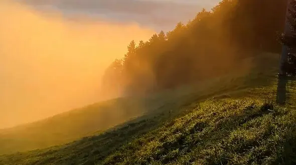 لحظه‌ های آرامش‌ بخش در آغوش طبیعت