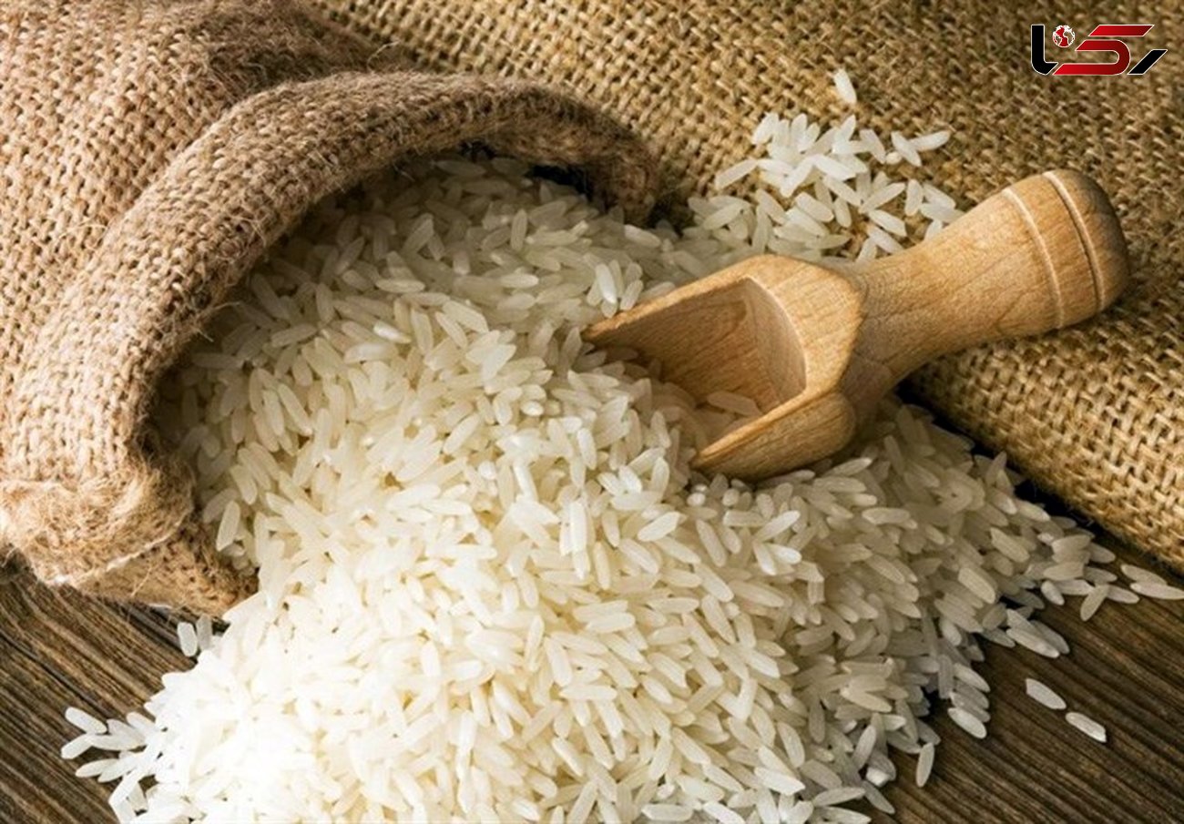 قیمت برنج ایرانی ۱۲هزار تومان/ افزایش قیمت در ماه رمضان نخواهیم داشت