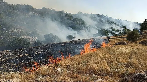 دستگیری عاملان آتش سوزی کوه خائیز 