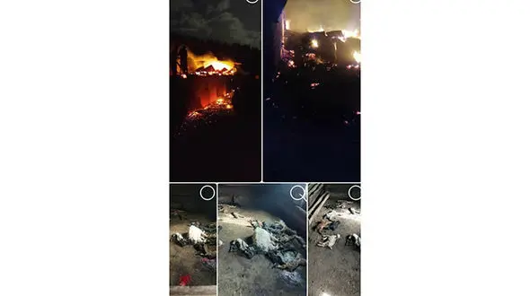 ناگفته های از آتش سوزی در کندوسر کجور / همه بهانه آوردند ! + عکس