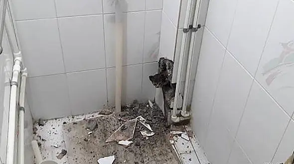 عکس های دیدنی از  بچه گربه تهرانی گیر کرده در لوله هواکش!