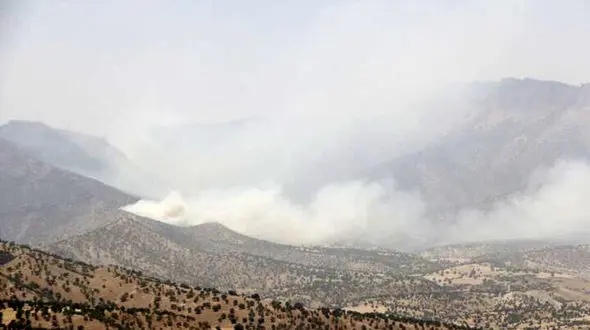 ادامه آتش‌سوزی‌های سریالی در ارتفاعات ایذه /آتش به جان جنگلهای «تنوش» افتاده
