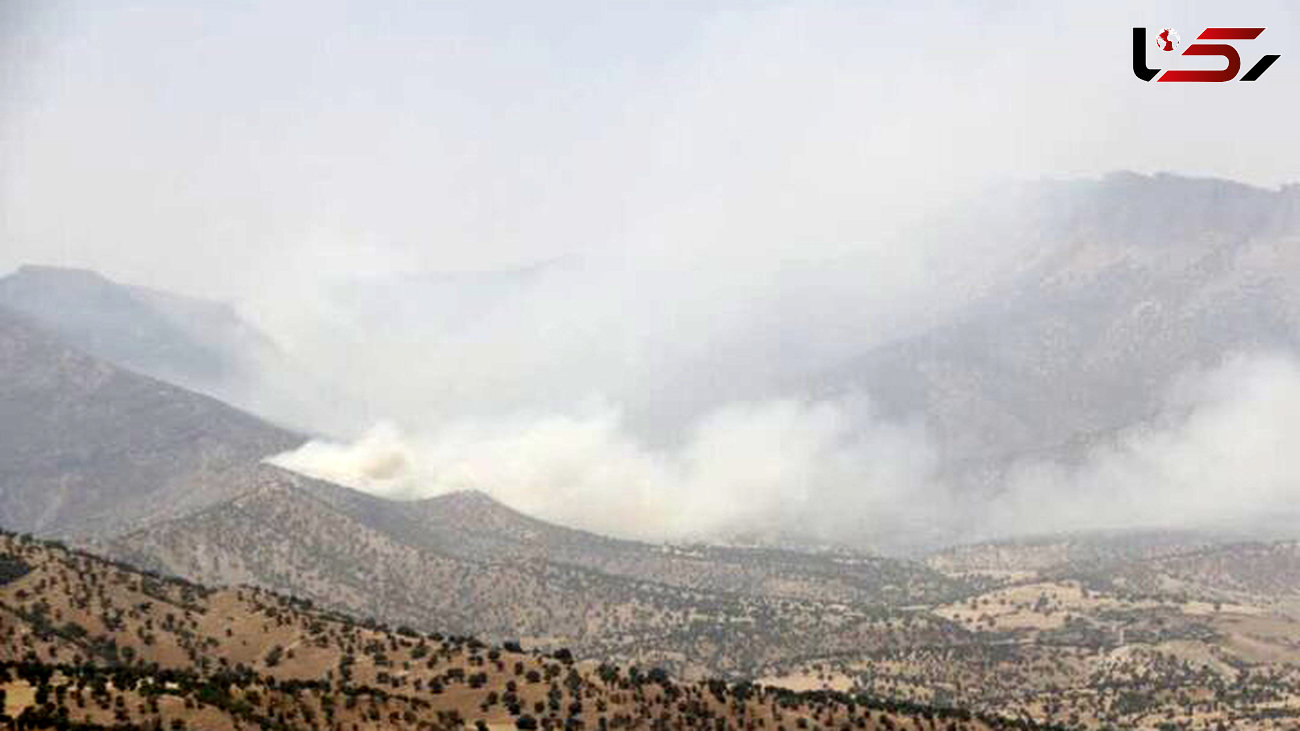 آتش‌سوزی به جنگل‌های پلدختر رسید/ درخواست اعزام بالگرد به منطقه