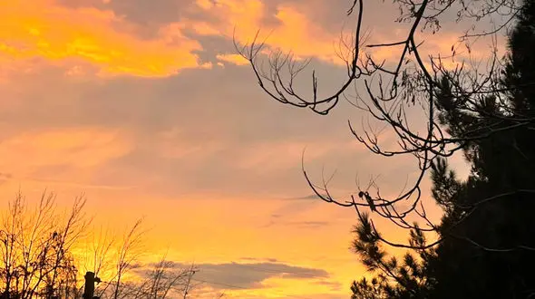فال روزانه شخصی / 3 اردیبهشت ماه + فیلم