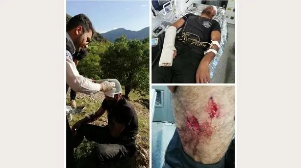 خرس مرد اردلی را تیکه پاره کرد / عکس های تکاندهنده