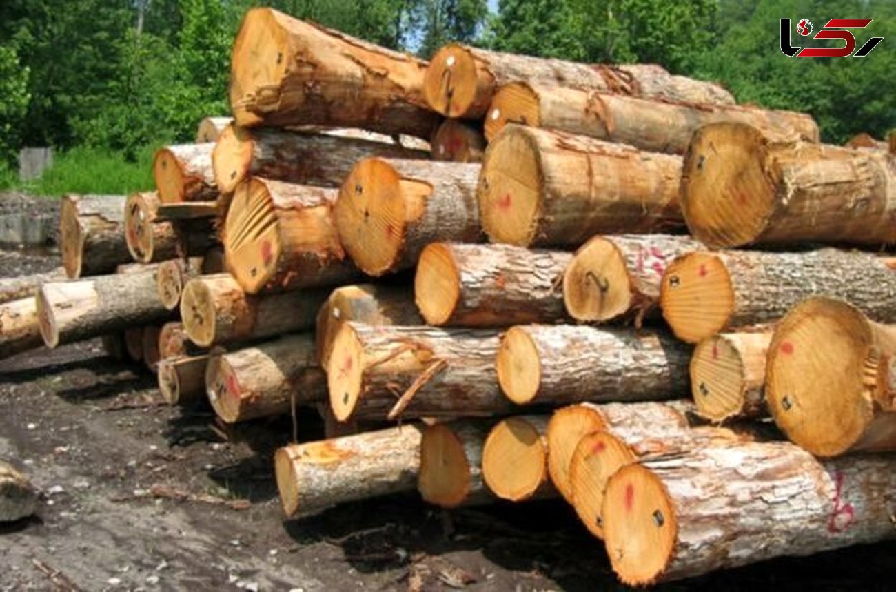 باند قاچاق چوب جنگلی در سمیرم زمین گیر شد