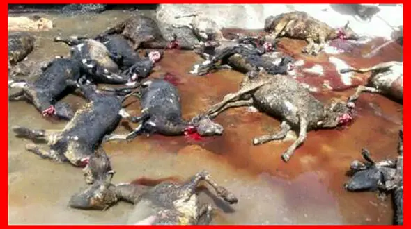 وحشتناکترین عکس از یک حادثه در ملکشاهی + جزییات