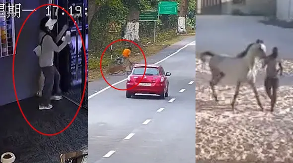 ببینید / از آتش سوزی در کارخانه تا زندگی دشوار در قایق ماهیگیری + 10 فیلم حادثه ای 