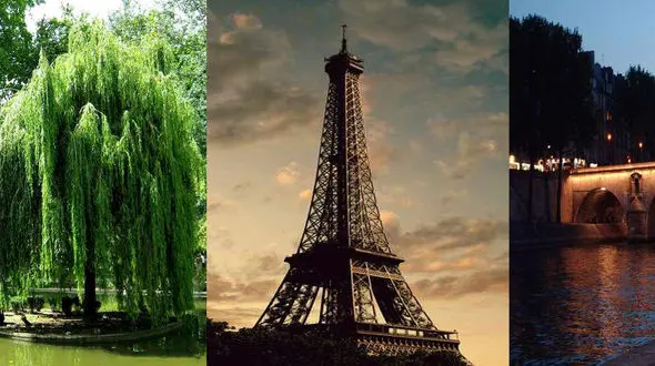 8 افسانه مرموز پاریس را بخوانید