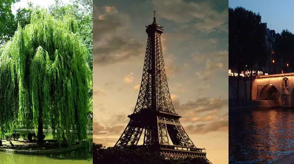 8 افسانه مرموز پاریس را بخوانید